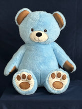 Load image into Gallery viewer, *3 New Colors/Textures added* Therabear | Talking, Teaching, Multi-Sensory Therapeutic Teddy Bear | Comforting Huggable Toy for Children of All Ages | Self-Calming Steps | Emotional Well-Being