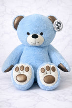 Load image into Gallery viewer, Therabear | Talking, Teaching, Multi-Sensory Therapeutic Teddy Bear | Comforting Huggable Toy for Children of All Ages | Self-Calming Steps | Emotional Well-Being